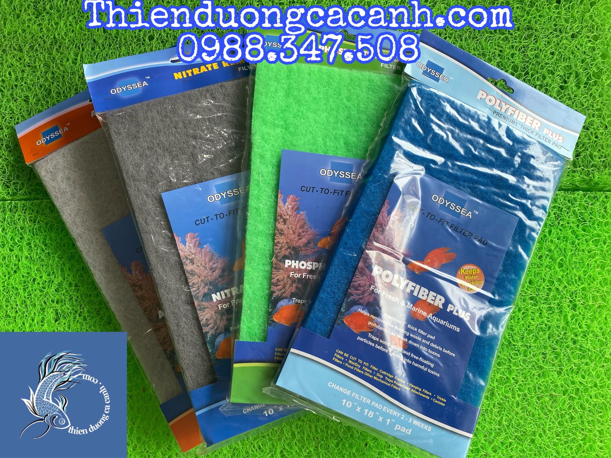Bông lọc cao cấp odyssea