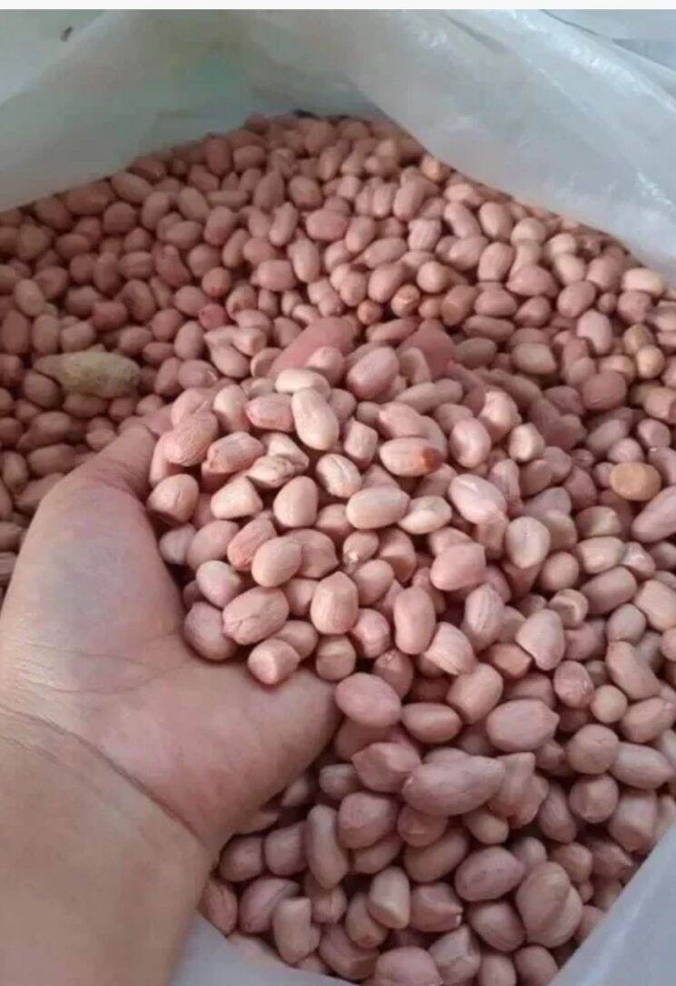Đậu phộng nhân sống 1kg - lạc vườn, đậu giá rẻ