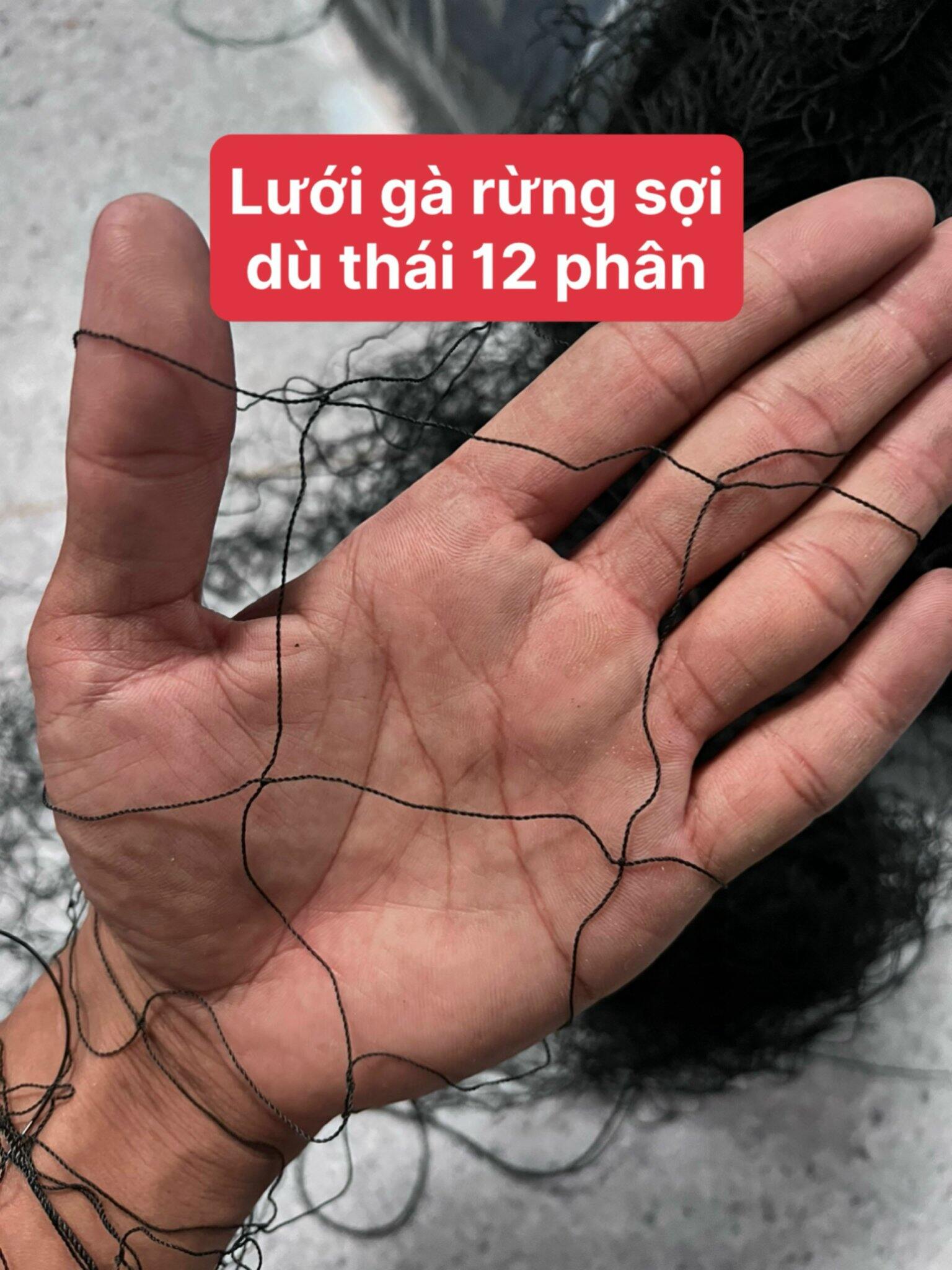 Lưới bẫy gà rừng cao 4.5m có thắt chống gió viền trên và bấm chì viền dưới , có viền cước chống rối,  mua về là sử dụng.