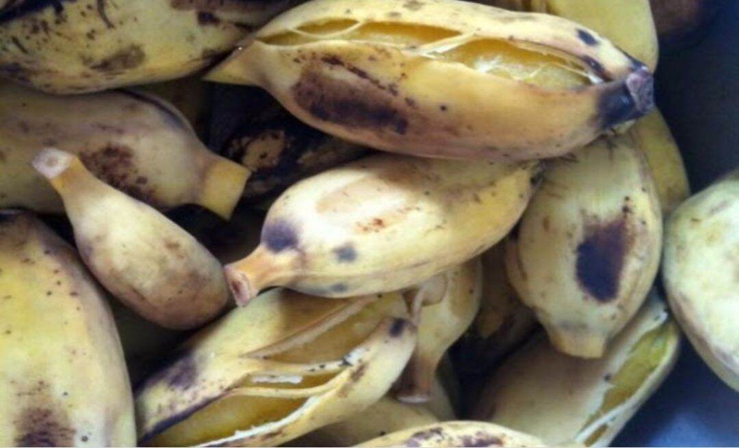 1Kg- Chuối xiêm xanh