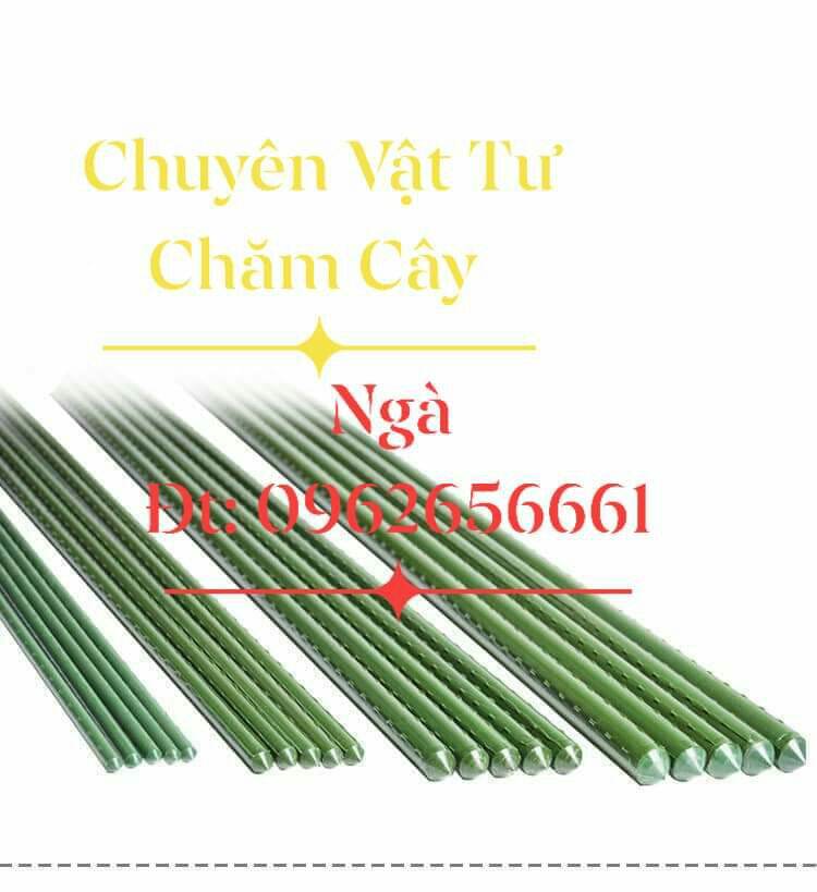 50 cọc chống cây làm giàn 1m8 fi11