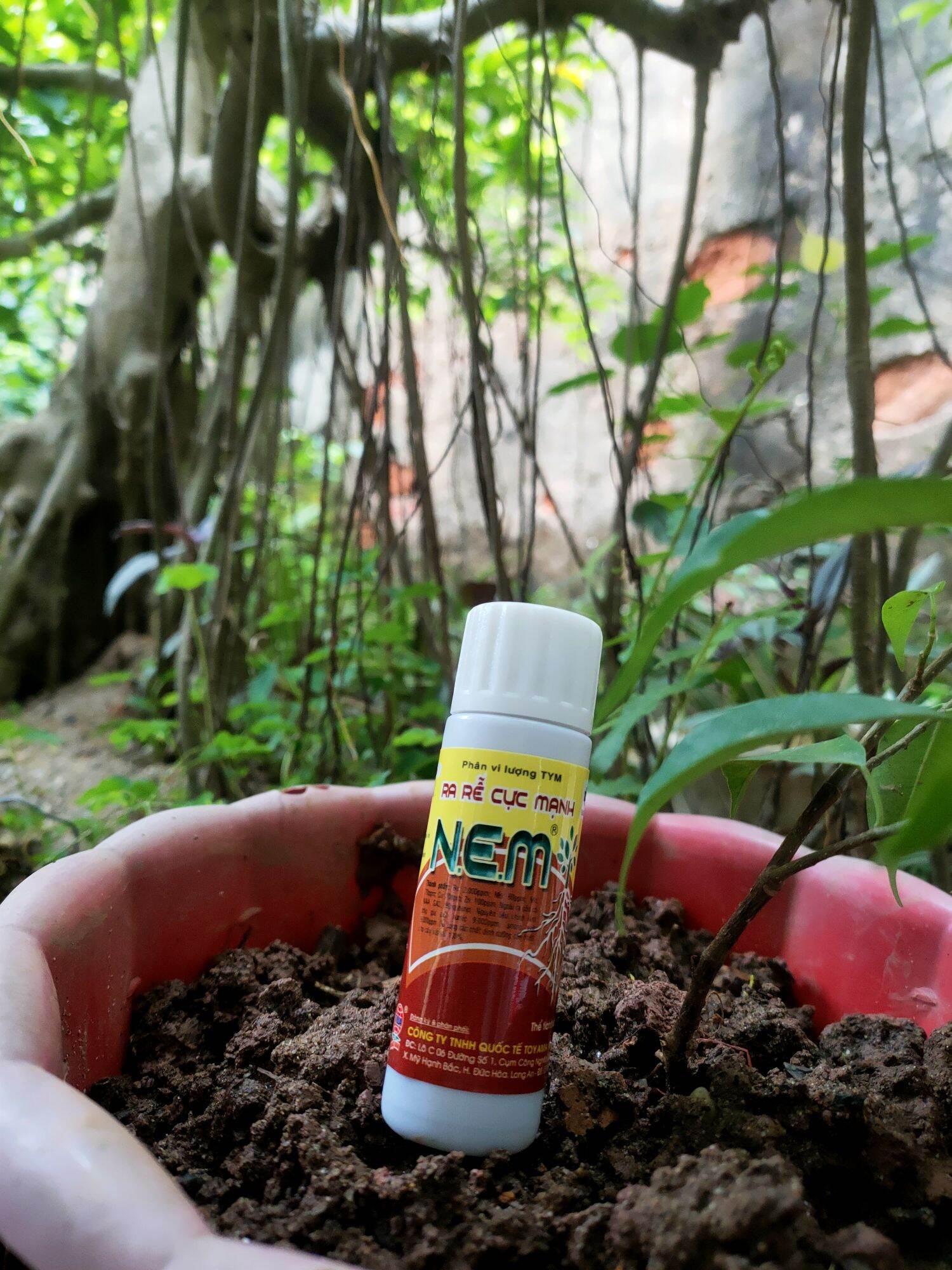 siêu ra rễ n3m  giâm cành, chiết cành [ 25 ml ]