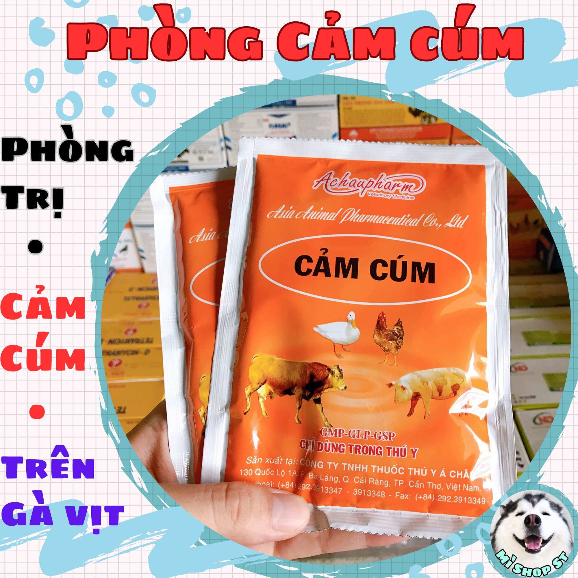 Cảm cúm phòng ngừa cảm cúm trên heo, gà, vịt