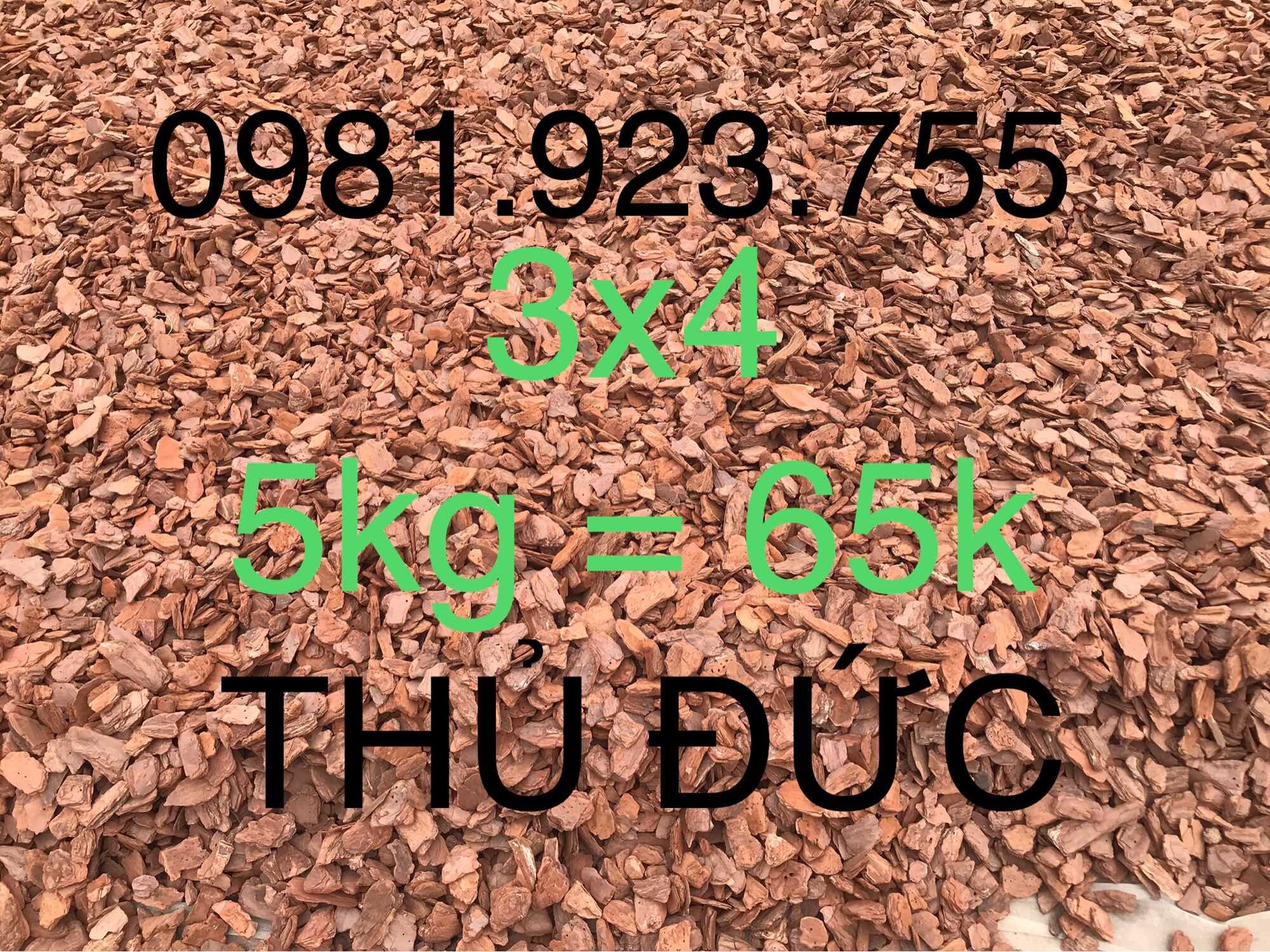 5kg vỏ thông - đã xử lý