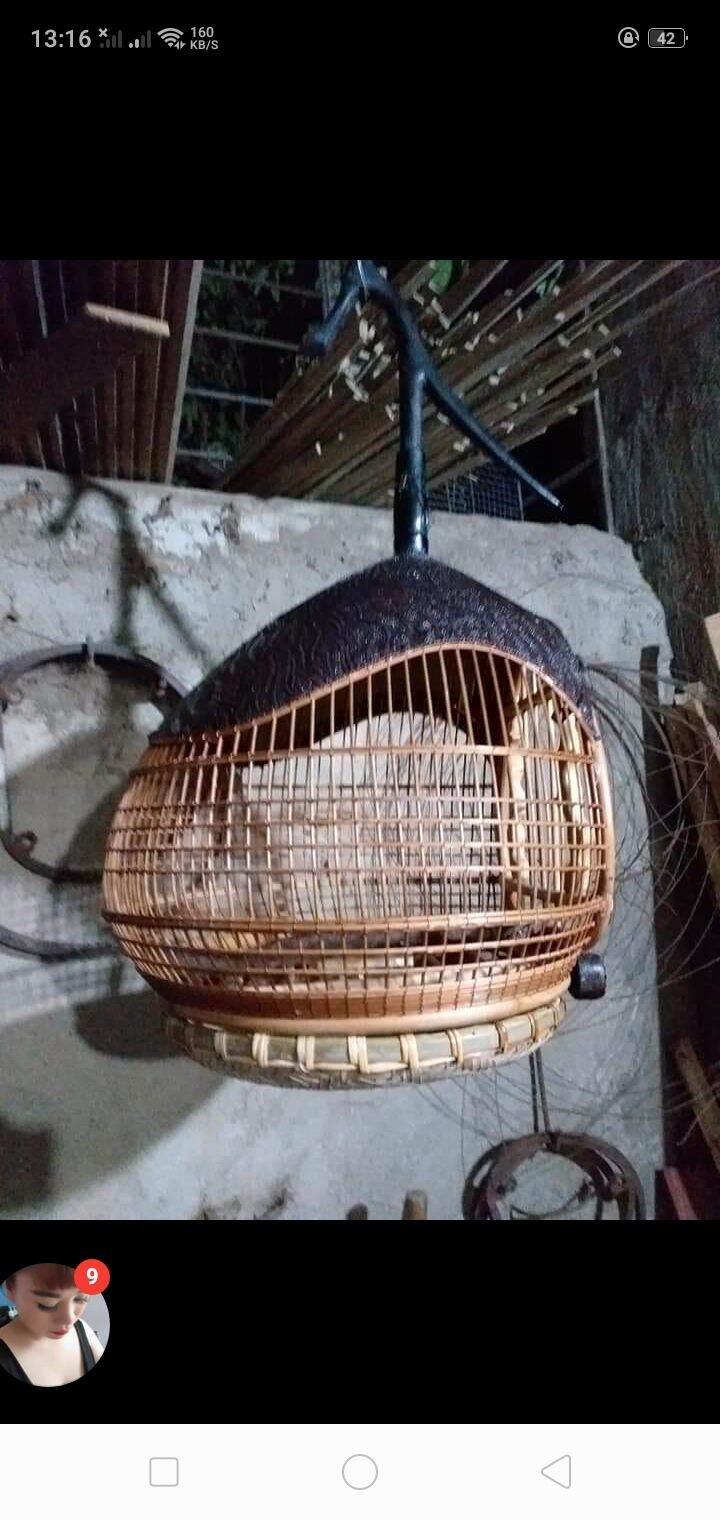 lồng chim g&aacute;y