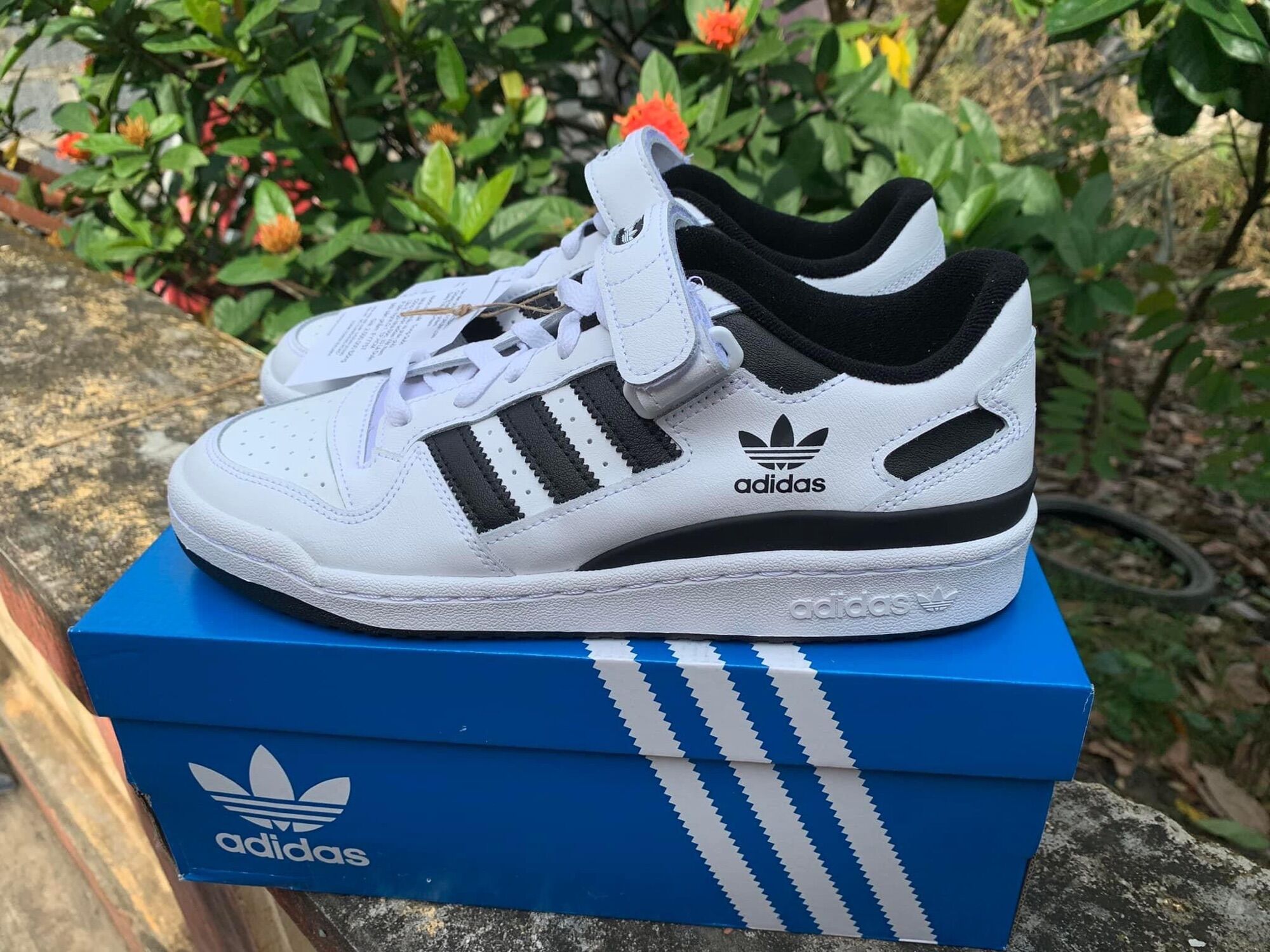 Giày Adidas Forum Low💯
