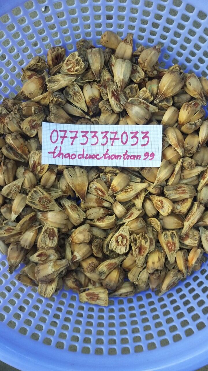 trái dứa gai - dứa dại phơi khô 1kg