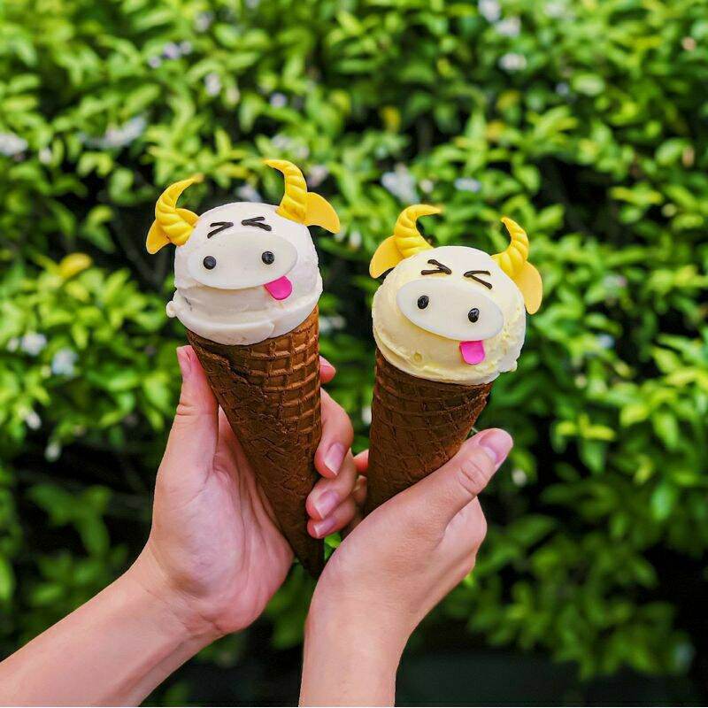 Bịch 10 cái bánh ốc quế giòn ăn kem