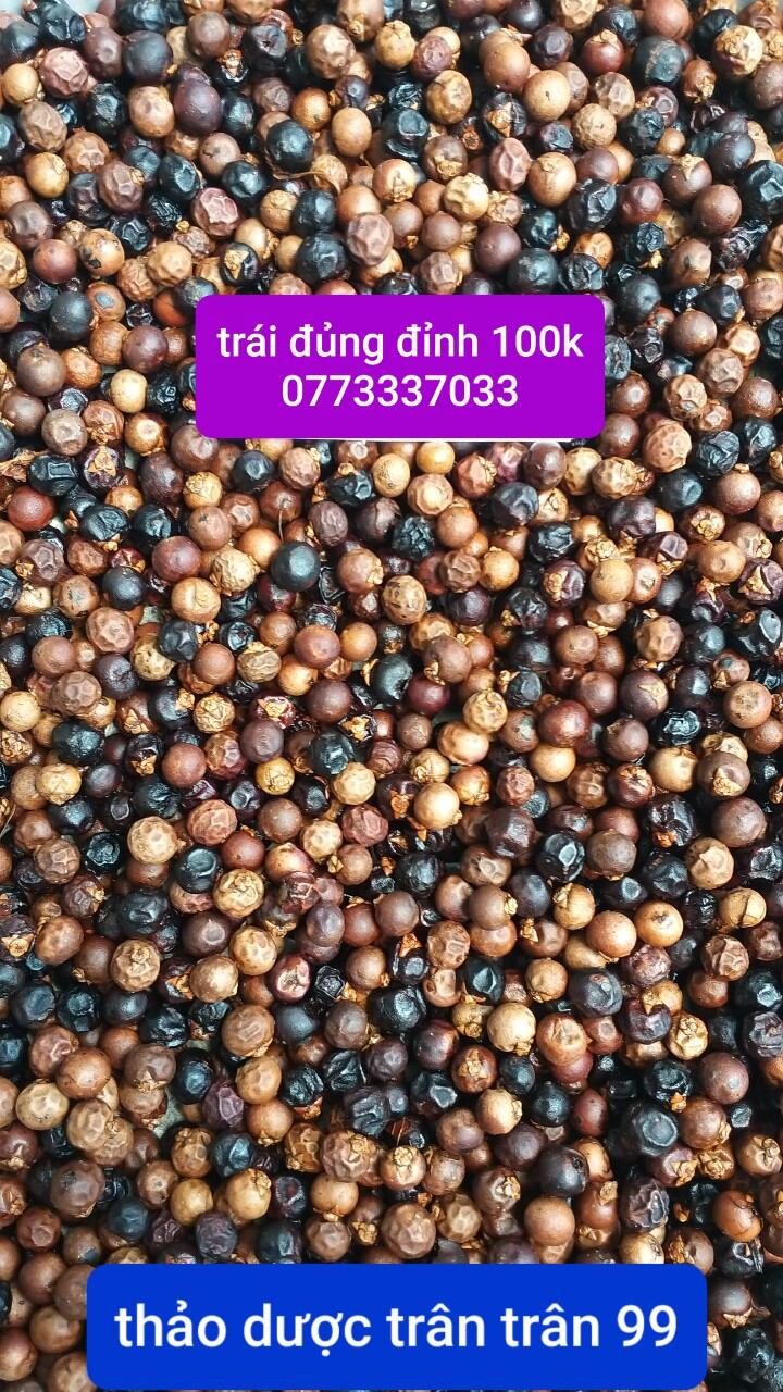 Trái đủng đỉnh phơi khô 1kg