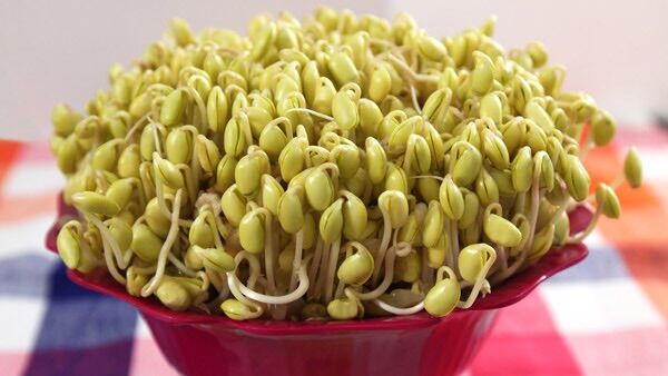 1kg Đậu nành làm giá đỗ