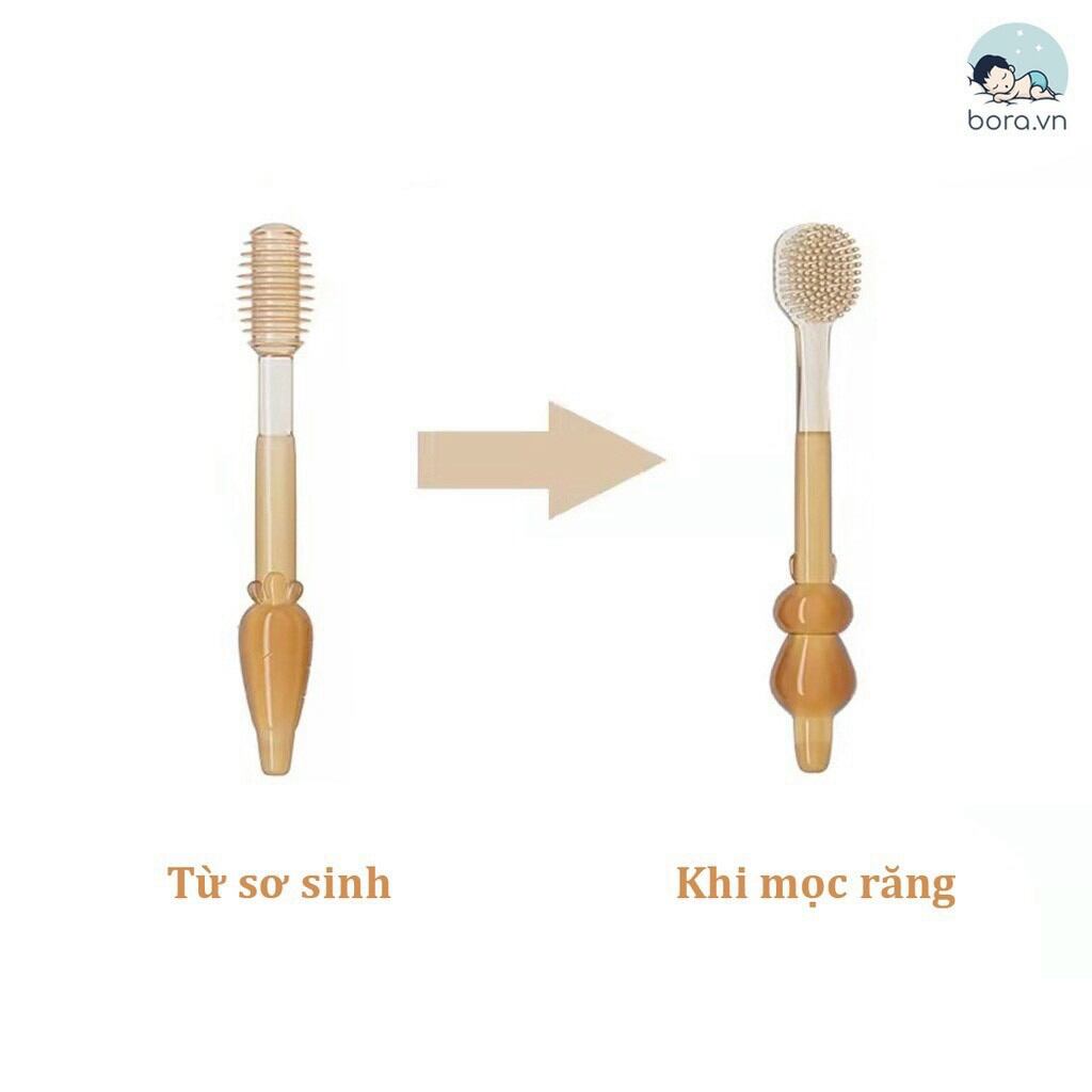 Combo rơ lưỡi + bàn chải silicon cho bé 0_18tháng