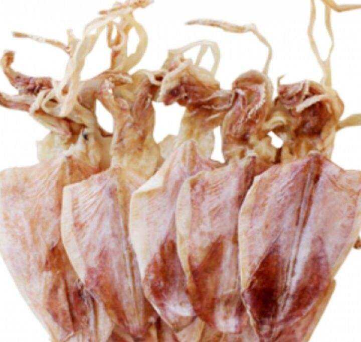 31 con mực mini ngon ngọt y hình