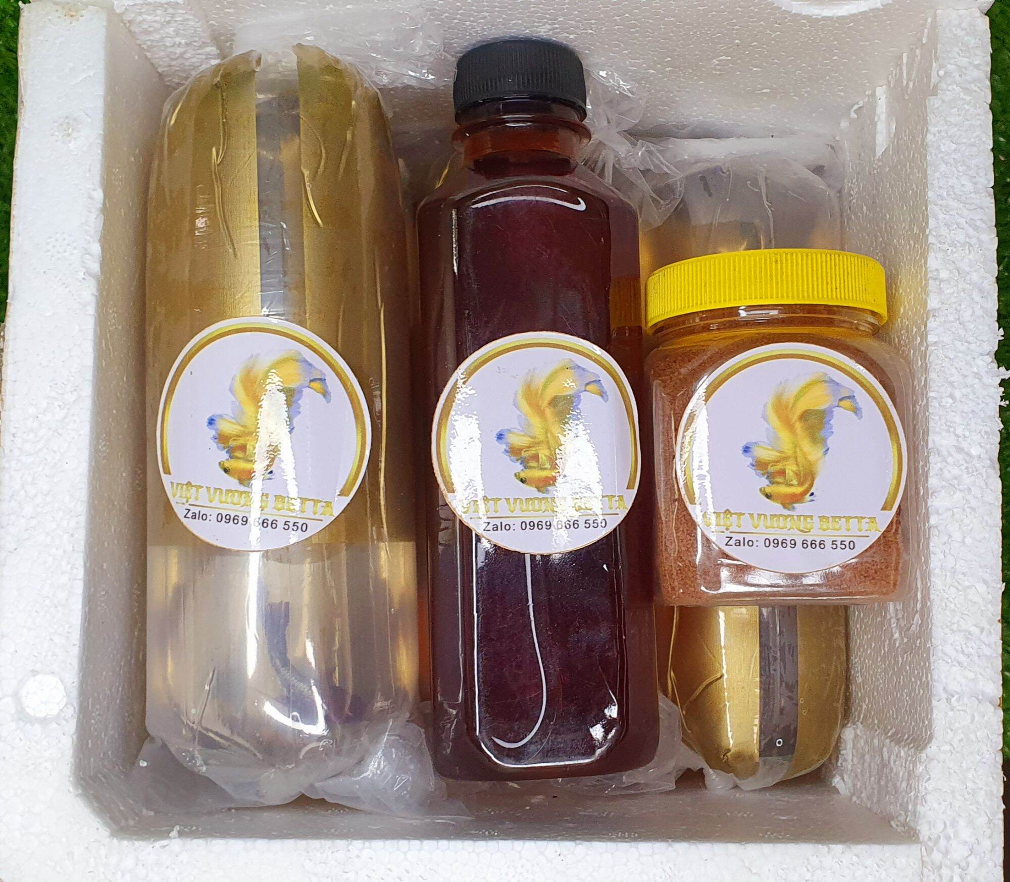Nước Cốt Lá Bàng Nguyên Chất - Giúp Cá Sung + Khỏe Mạnh