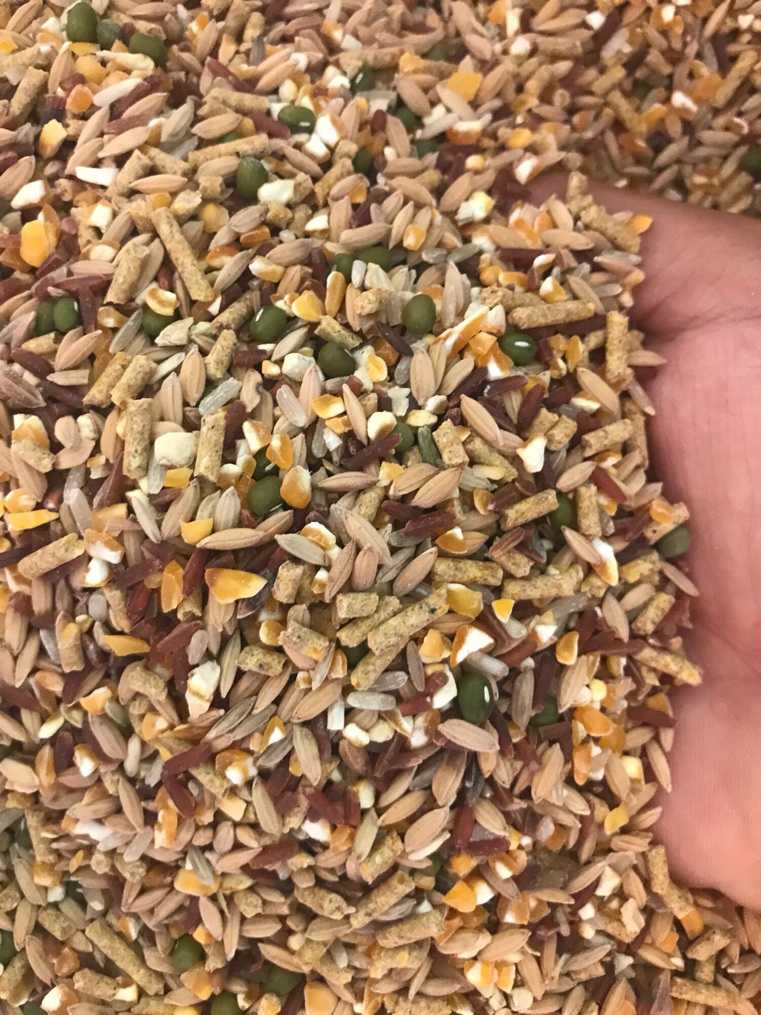 1kg ngũ cốc dinh dương cơ bản dành cho gà , chim, vẹt …