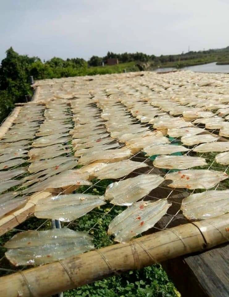 Khô cá cơm trổng rút xương 500g