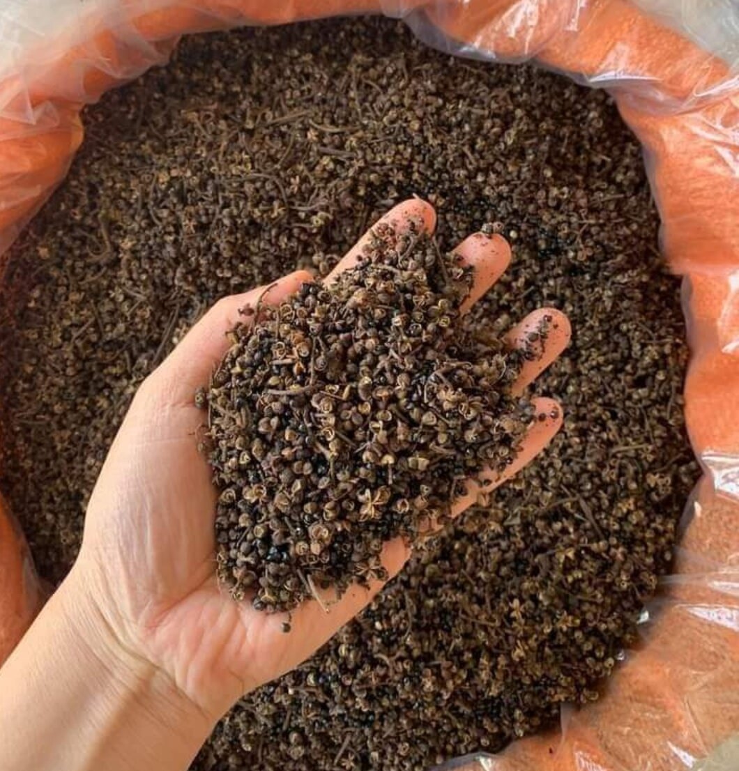 100g hạt mắc khén rừng Tây Bắc loại 1