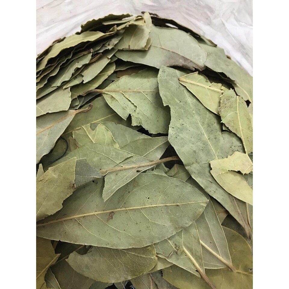 300Gr Lá Nguyệt Quế ( Bay Leaf)