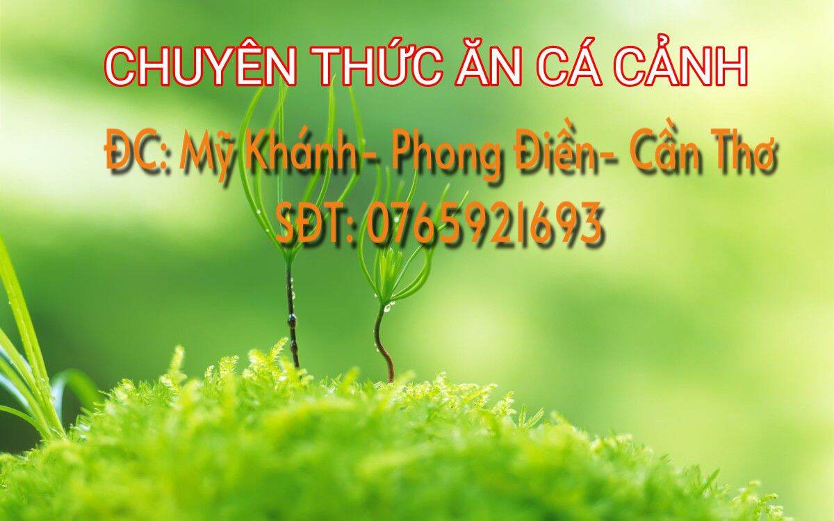 1kg Thức ăn Up (Hạt 1mm)