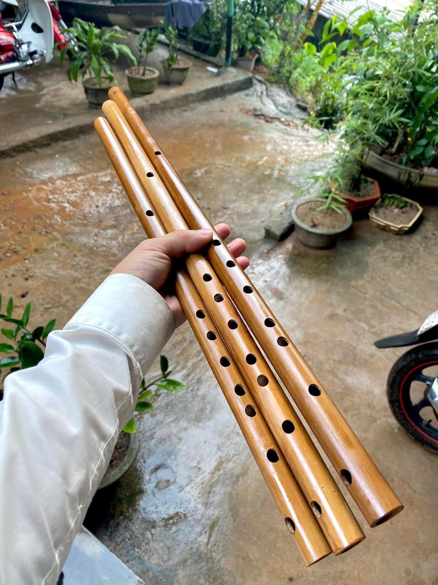 Sáo nứa hun