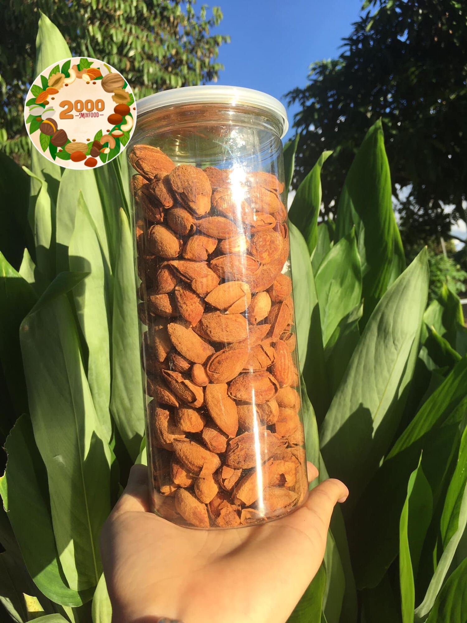 Hạt hạnh nhân rang bơ vỏ mỏng - 500g - 2000 mixfood - ảnh sản phẩm 6