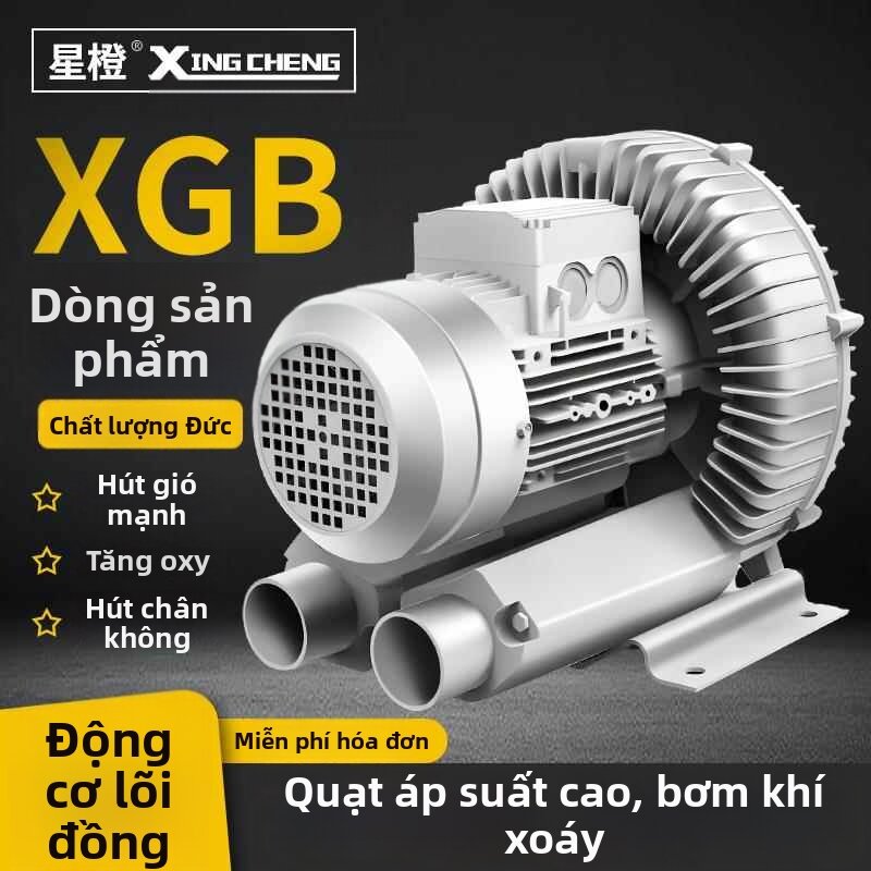 MUHUASHA | High Pressure Vortex Centrifugal Blower Giá 12,918,000 Đồng*Miễn phí vận chuyển
