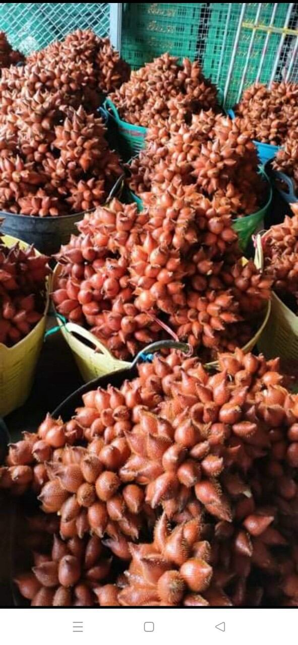 Trái Mây Thái - 1kg