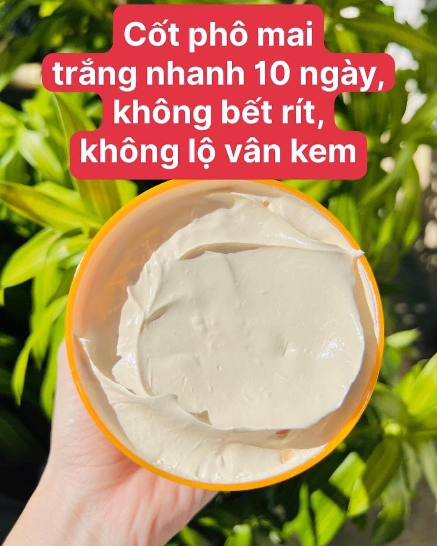 Mẫu test kem body cốt dầu