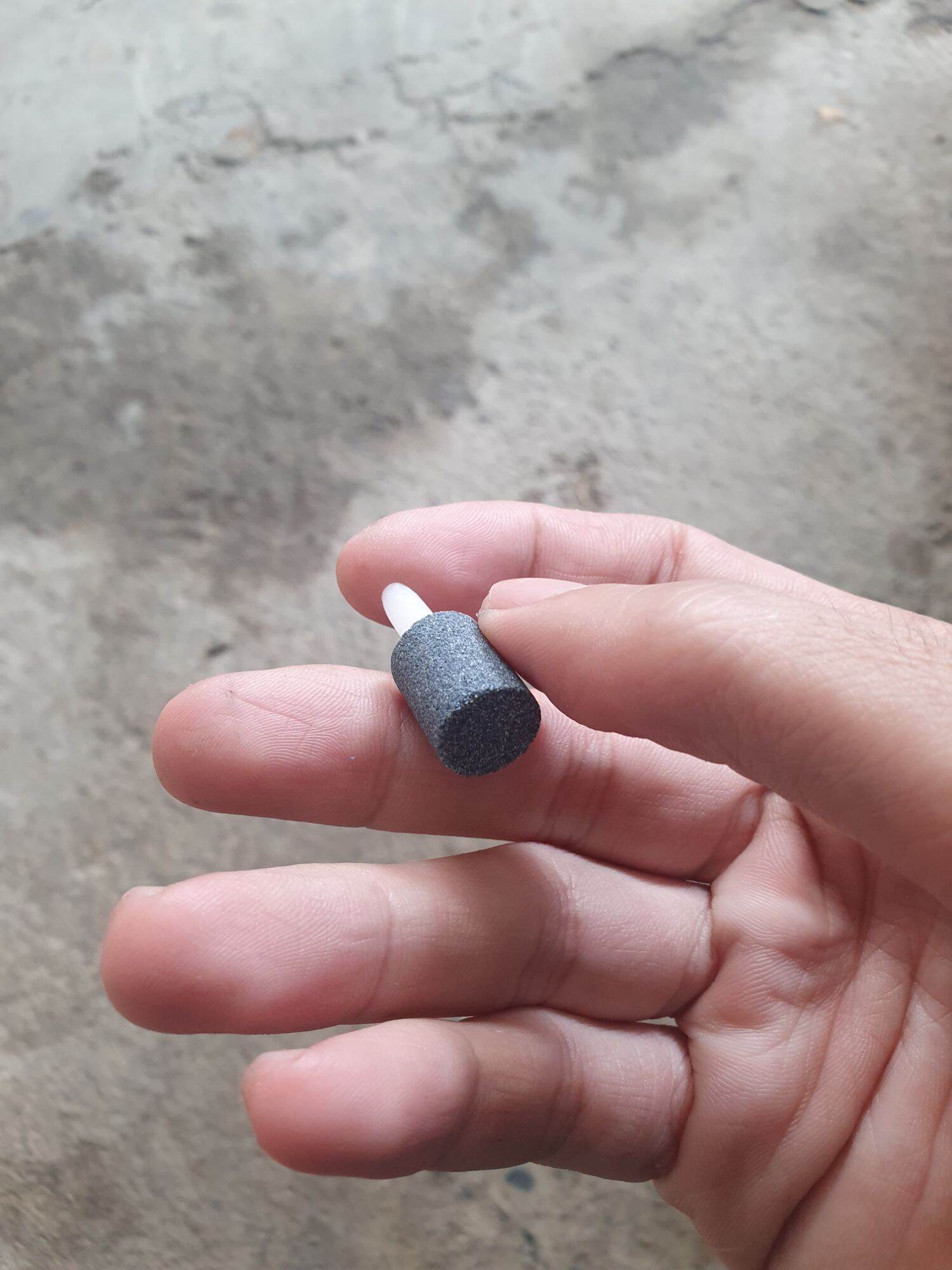 Sủi mini cho lọc taiwan