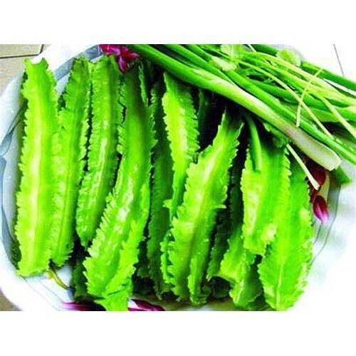 Hạt Giống Đậu Rồng/ Đậu Khế