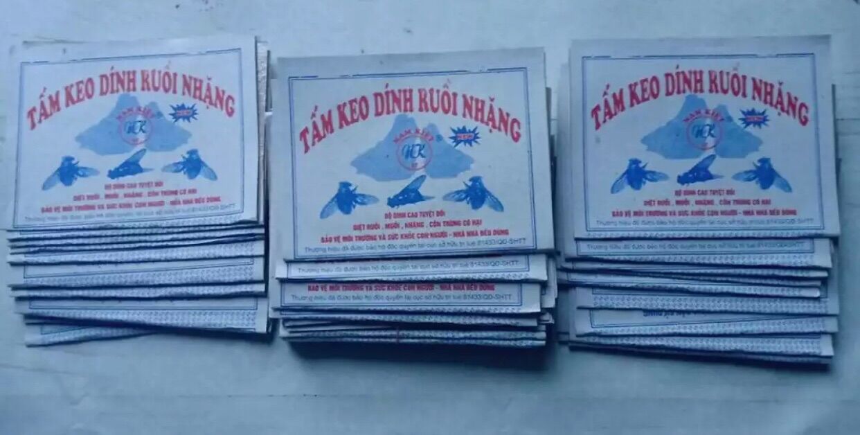MIẾNG DÁN RUỒI 1 XẤP 50 MIẾNG