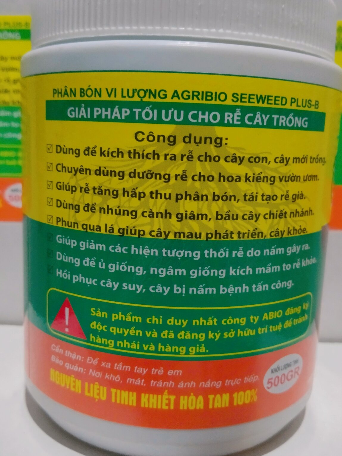 Kích rễ N3M trên mai vàng
