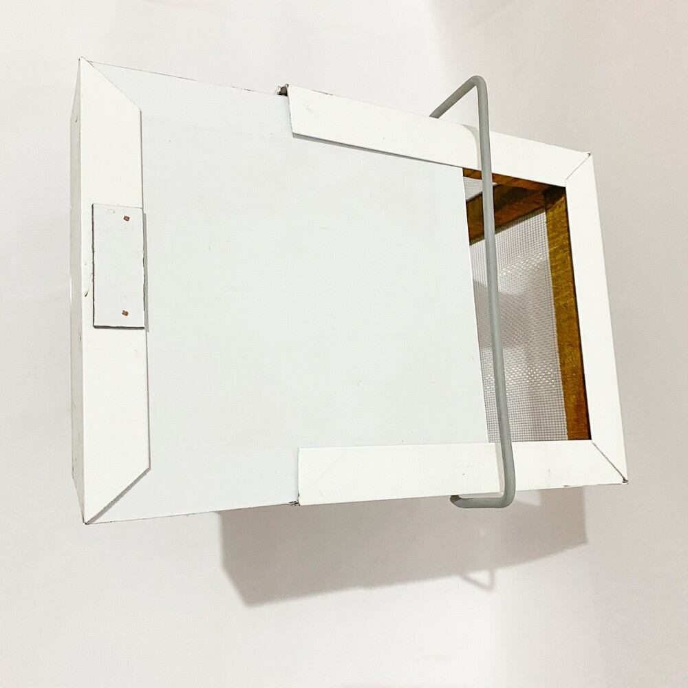 Hộp đựng dế bé đẹp size nhỏ