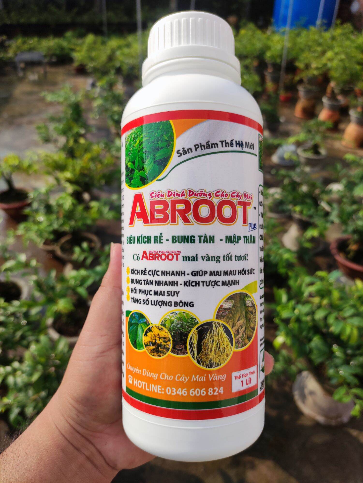 Phân bón ABROOT plus 1l siêu dưỡng rễ mai vàng chuyên cho cây mai vàng