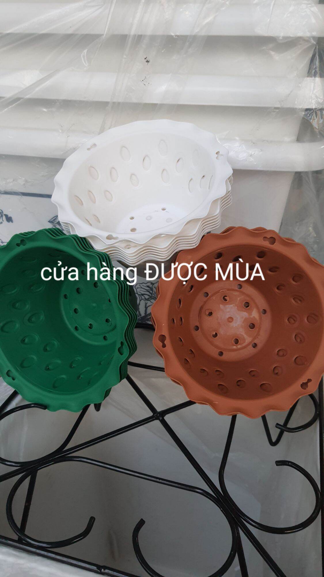 combo 10 cái chậu nhựa trồng lan phi 16 siêu đẹp