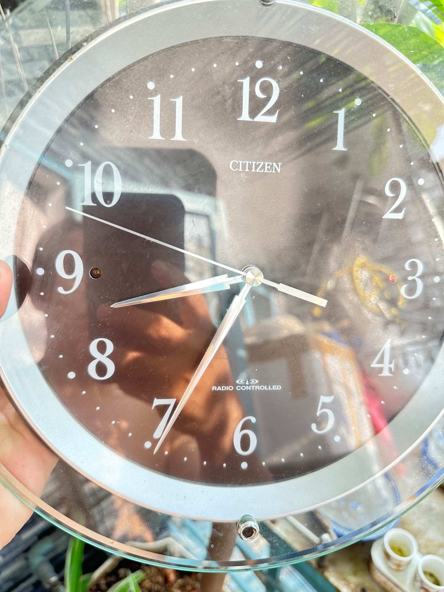 Đồng hồ treo tường citizen nội địa nhật