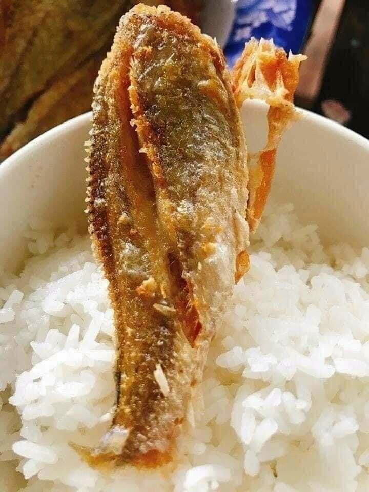 KHÔ CÁ ĐÙ 1 NẮNG SIZE ĐẠI 500gr