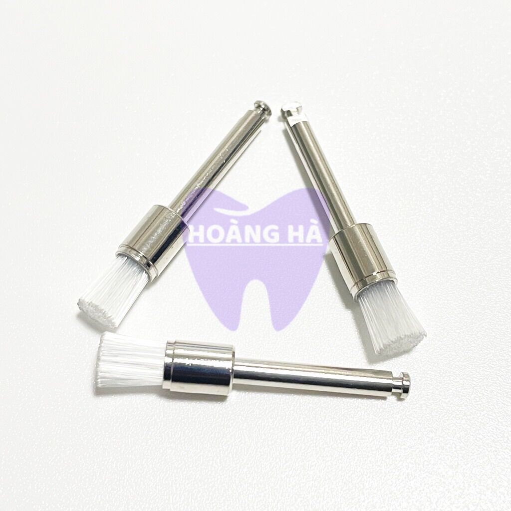 [100 cái] Chổi đánh bóng nha khoa