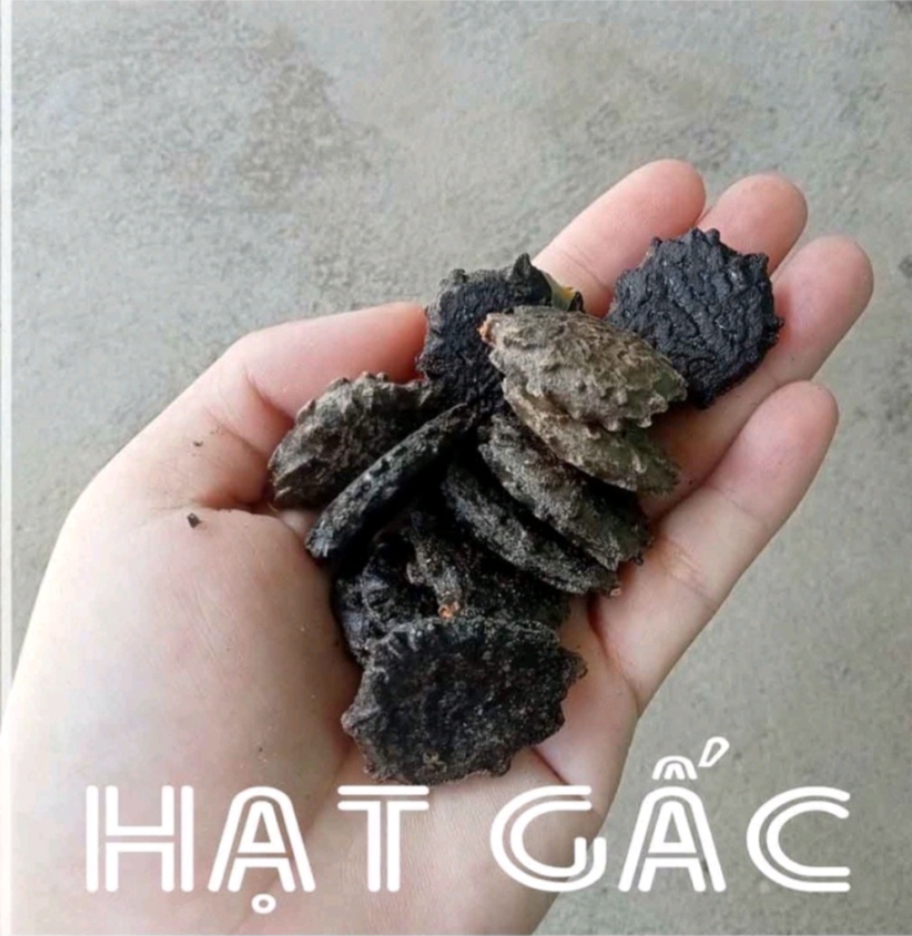Hạt Gấc rang sẵn 1 ký