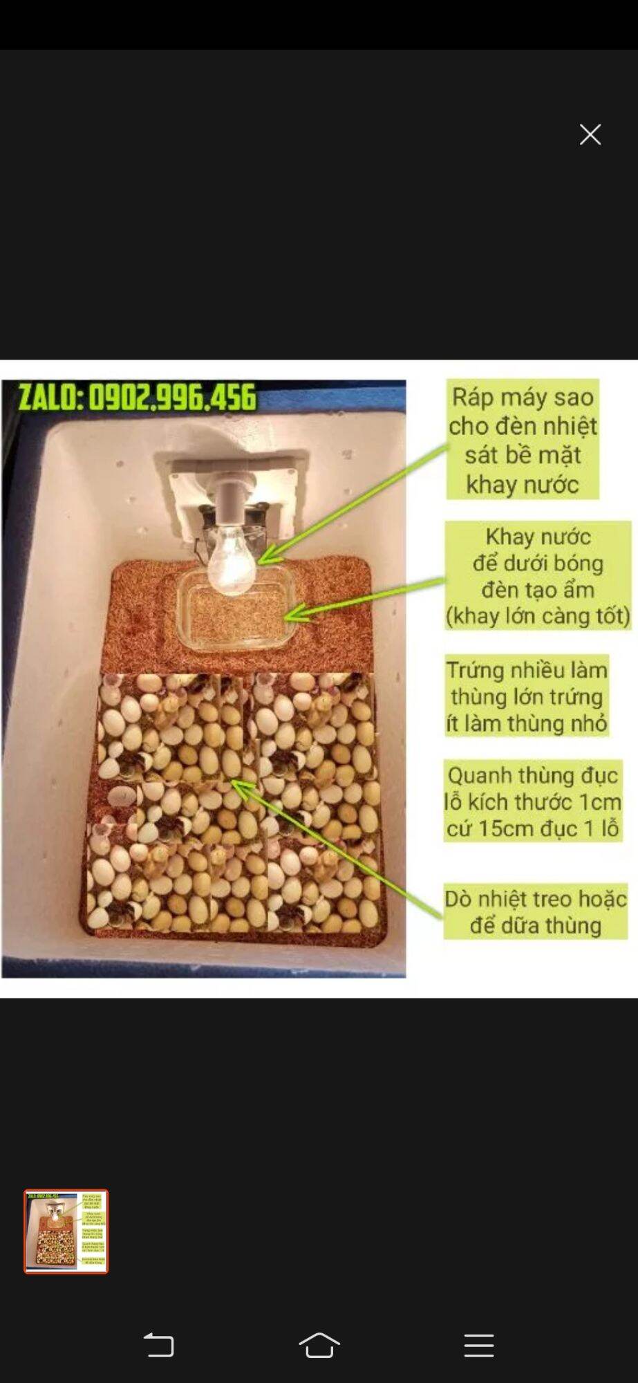 Máy ấp trứng mini Bảo Hành 2 Năm