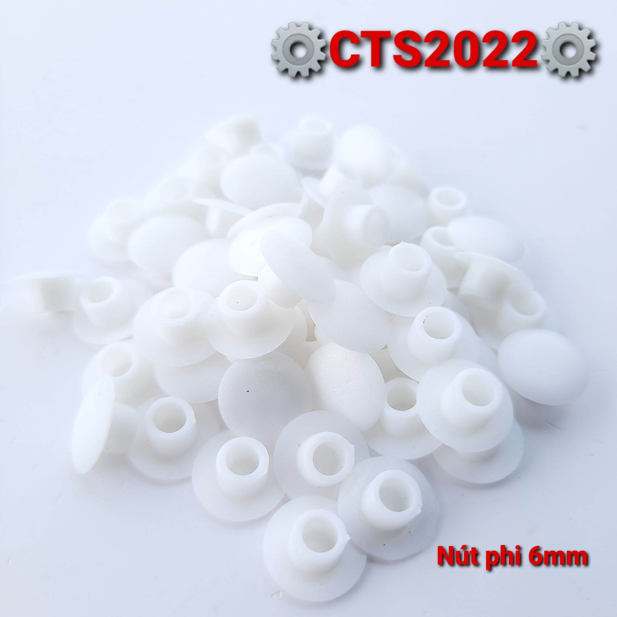 2 Nút nhựa bịt lỗ phi 6mm