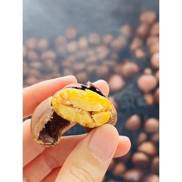 [  1 KÝ _ HẠT DẺ BÓC SẴN ]  tươi ngon bở, mềm