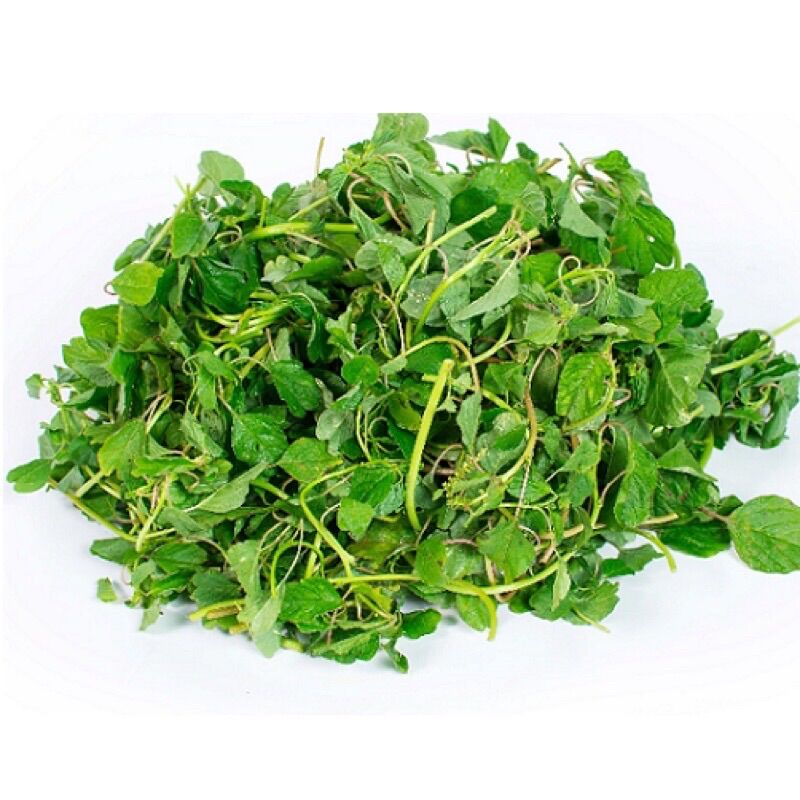 Hạt Giống Rau Dền Cơm F1