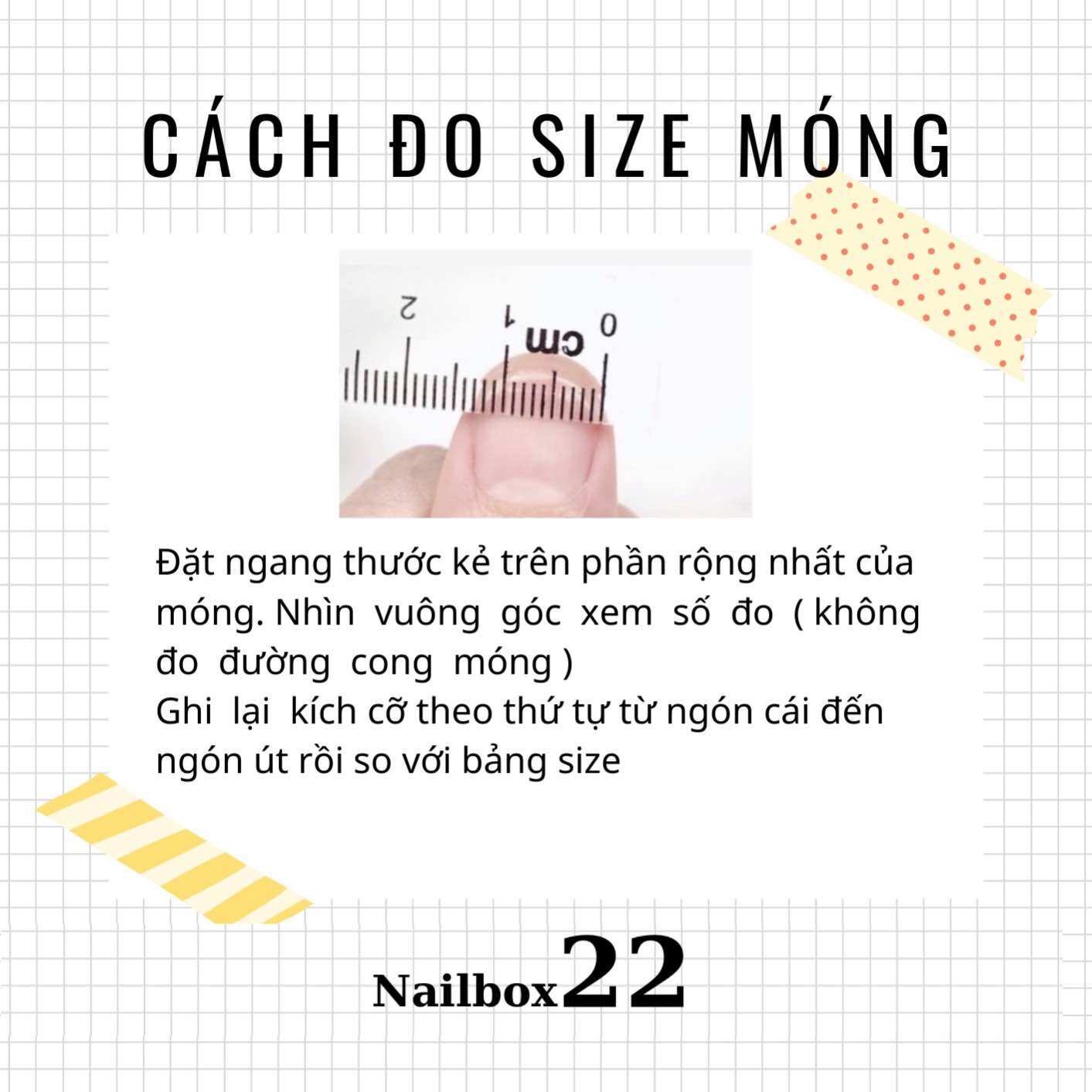 Nailbox [398] - Móng giả vẽ gấu nổi và cherry siêu cưng