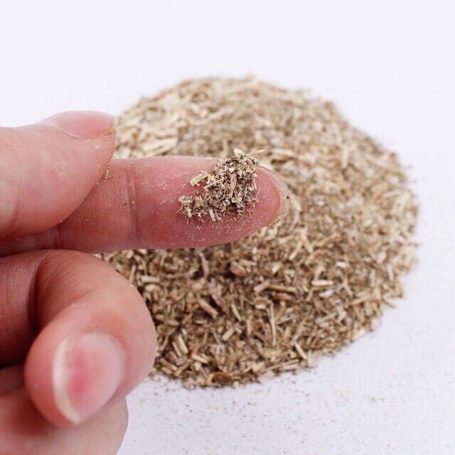 [HCM]Catnip/Catmin/ Cỏ bạc hà cho mèo