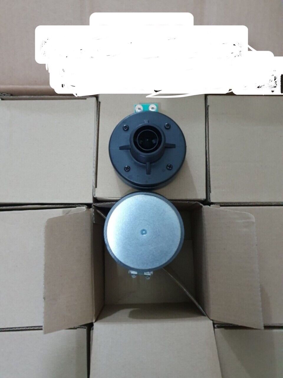 cửu 250 coll trắng loại 1 - 1 cặp