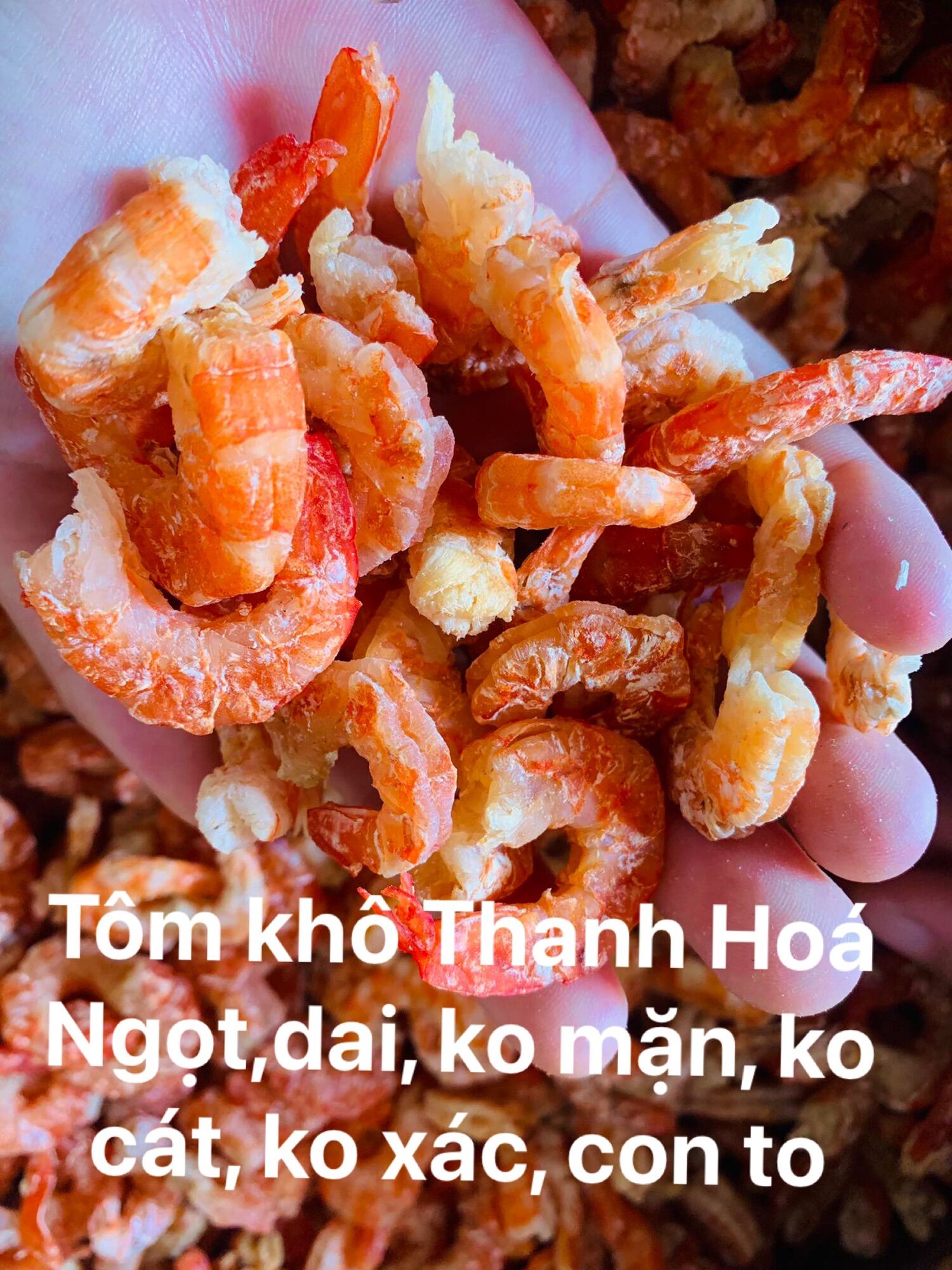 (ẢNH THẬT) 500g TÔM KHÔ HẬU LỘC - THANH HOÁ  BAO NGON, NGỌT, DAI, TO, THƠM, KHÔNG XÁC, KHÔNG MẶN, KHÔNG CÁT