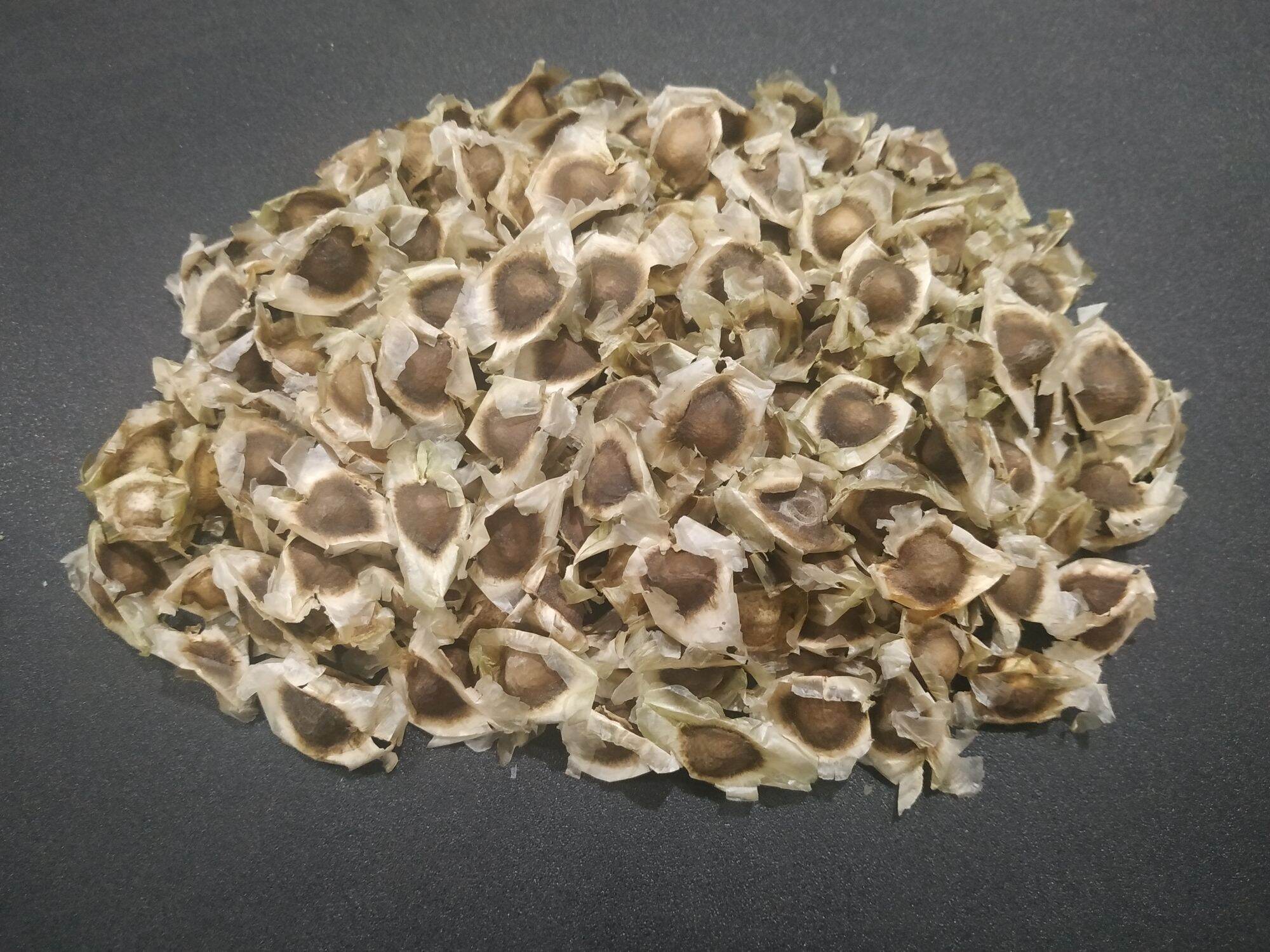100g hạt chùm ngây