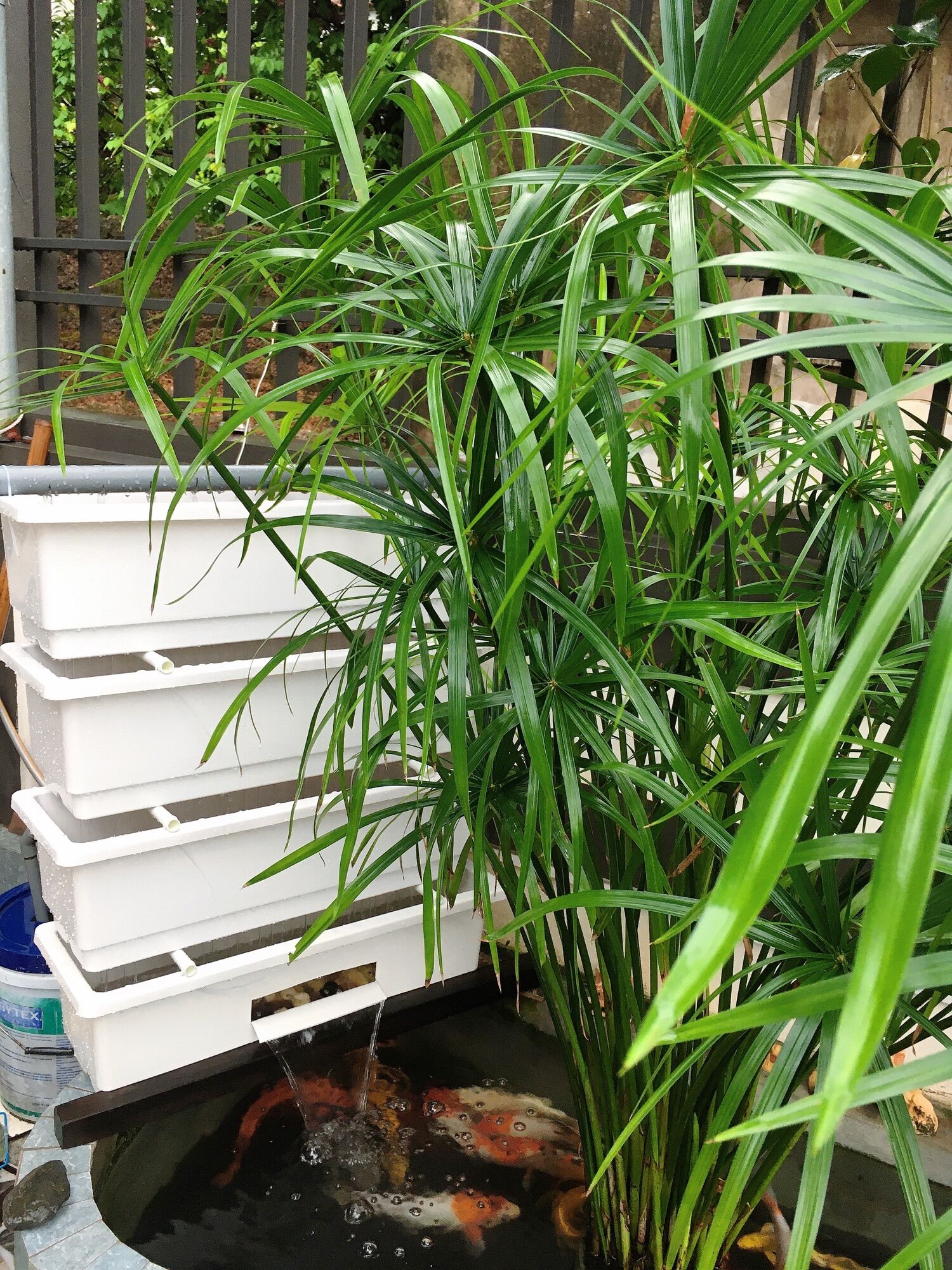Lọc bể cá dàn baki 3 tầng 48x20x16cm