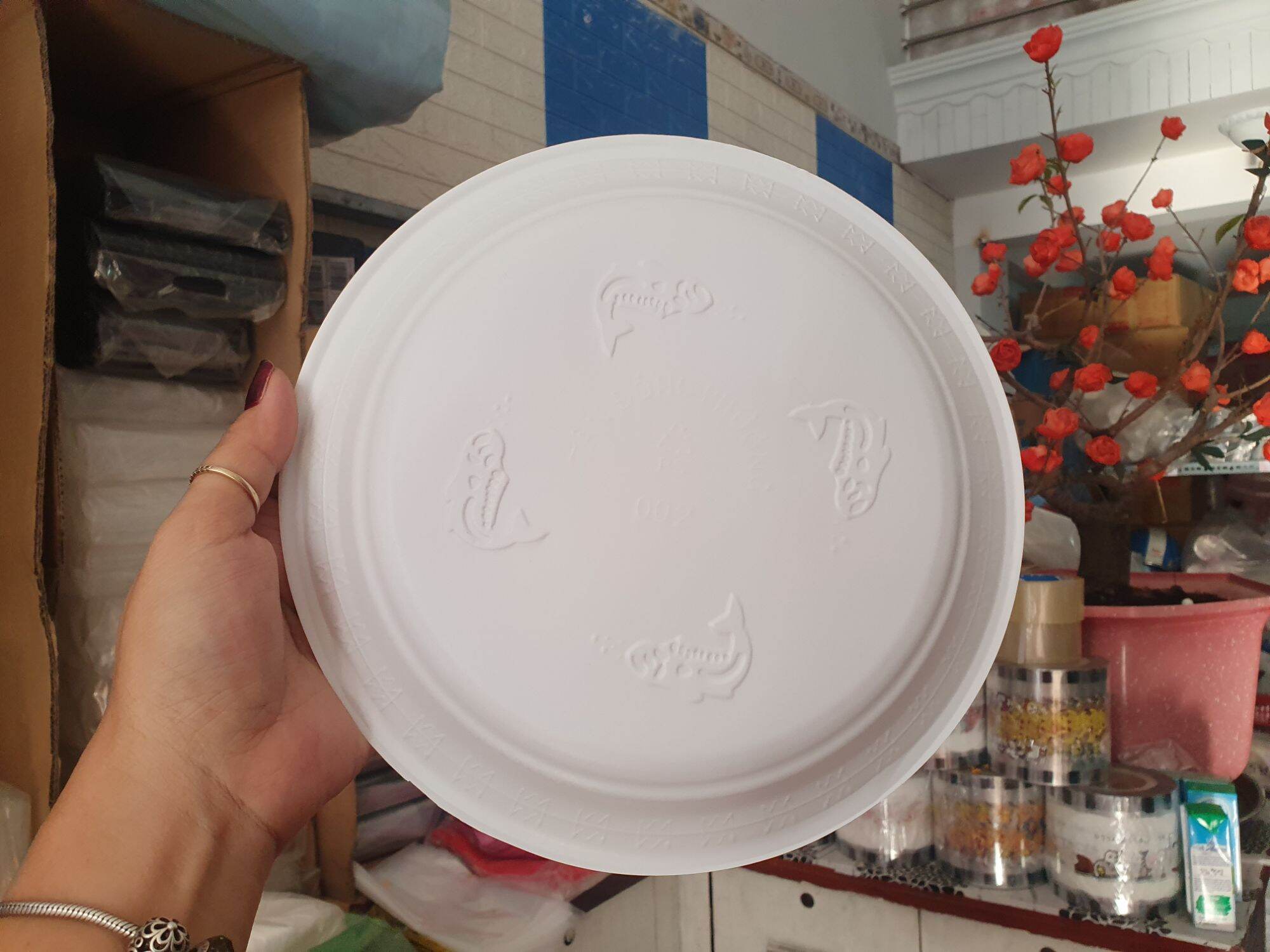 Dĩa nhựa tròn dùng 1 lần, dĩa lớn 23cm. 50 cái/cây
