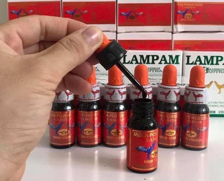 Nhỏ đá nâu socola tăng bo cho gà